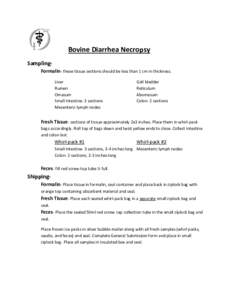 Microsoft Word - Bovine Diarrhea Necropsy.docx