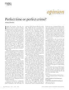 Perfect time or perfect crime?