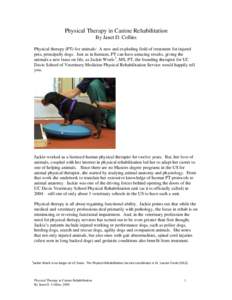 Physical Therapy in Canine Rehabilitation By Janet D. Collins Physical therapy (PT) for animals: A new and exploding field of treatment for injured pets, principally dogs. Just as in humans, PT can have amazing results, 