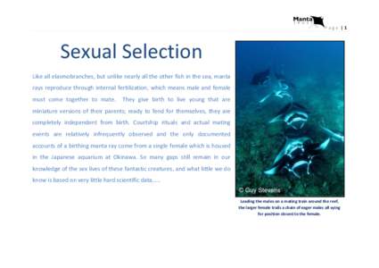 Page |1  Sexual Selection Like all elasmobranches, but unlike nearly all the other fish in the sea, manta rays reproduce through internal fertilization, which means male and female must come together to mate.