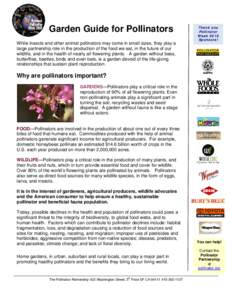 Garden Guide for Pollinators While insects and other animal pollinators may come in small sizes, they play a large partnership role in the production of the food we eat, in the future of our wildlife, and in the health o