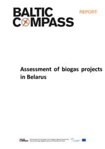 REPORT  Assessment of biogas projects in Belarus  INDEX