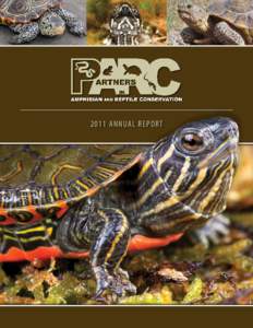 2011 ANNUAL REPORT  ACKNOWLEDGMENTS CREDITS: Front Cover photos: Large background, western painted turtle (© Mgkuijpers Dreamstime.com),