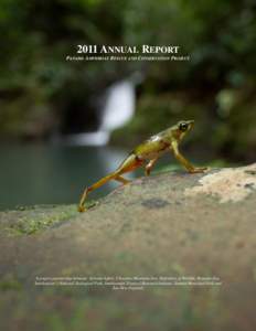 2011 ANNUAL REPORT PANAMA AMPHIBIAN RESCUE AND CONSERVATION PROJECT A project partnership between: Africam Safari, Cheyenne Mountain Zoo, Defenders of Wildlife, Houston Zoo, Smithsonian’s National Zoological Park, Smit