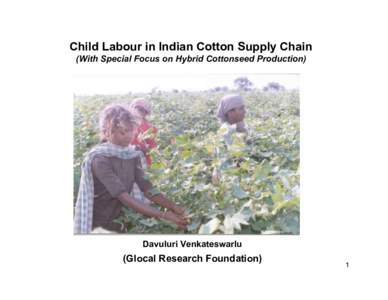 Child Labour in Indian Cotton Supply Chain (With Special Focus on Hybrid Cottonseed Production) Davuluri Venkateswarlu  (Glocal Research Foundation)