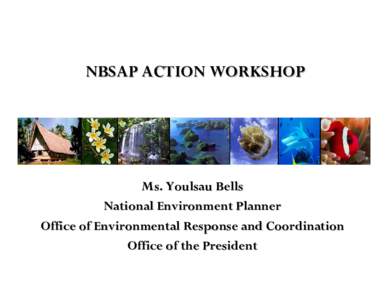 NBSAP ACTION WORKSHOP  Ms. Youlsau Bells National Environment Planner Office of Environmental Response and Coordination Office of the President