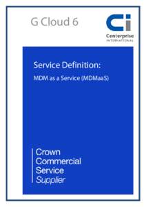 Microsoft Word - RM1557viSvceDefinition_MDM-Final