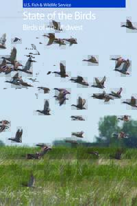U.S. Fish & Wildlife Service  State of the Birds Birds of the Midwest  STATE OF THE BIRDS OF THE MIDWEST