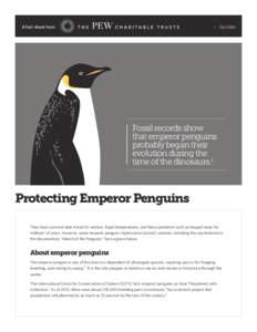 A fact sheet from  Oct 2014 Fossil records show that emperor penguins