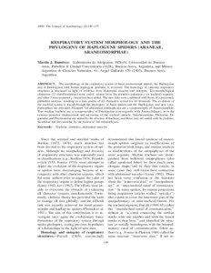 2000. The Journal of Arachnology 28:149–157  RESPIRATORY SYSTEM MORPHOLOGY AND THE