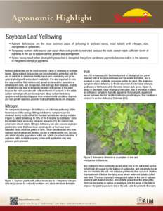    Soybean Leaf Yellowing • Nutrient deficiencies are the most common cause of yellowing in soybean leaves, most notably with nitrogen, iron, manganese, or potassium. • Temporary nutrient deficiencies can occur when
