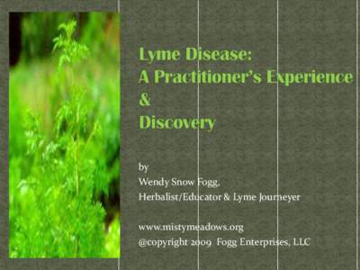 by Wendy Snow Fogg, Herbalist/Educator & Lyme Journeyer www.mistymeadows.org @copyright 2009 Fogg Enterprises, LLC