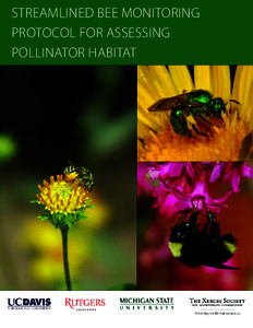 STREAMLINED BEE MONITORING PROTOCOL FOR ASSESSING POLLINATOR HABITAT The Williams Lab at University of California, Davis, Isaacs Lab at Michigan State University, and Winfree Lab at Rutgers University conduct research i