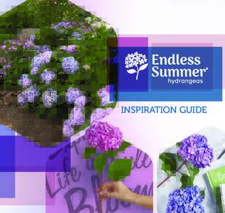 INSPIRATION GUIDE  EXPERIENCE LIFE IN FULL BLOOM ™ WITH THE WORLD’S BEST-SELLING GARDEN HYDRANGEA