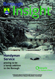 Borough  Winter 2010 Issue 45 Insight