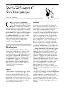CHAPTER 11C  Special Techniques, C: Sex Determination S cott R. Swe n g e l