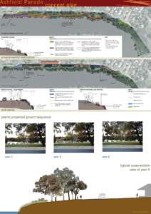 Ashfield Parade concept plan  prepared by syrinx environmental pl