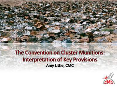 We must remember the purpose of this Convention:  A comprehensive ban on cluster munitions that puts an end to the suffering they cause  How can we achieve a comprehensive and categorical ban?