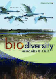 Cover: Whooper Swans at Lough Boora, Derryounce Wetlands and Oweninny cutaway bog  Below:
