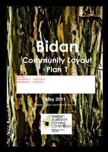 Bidan Backgound Report Feb 2011