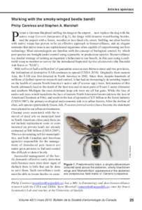 Articles spéciaux  Working with the smoky-winged beetle bandit Philip Careless and Stephen A. Marshall  P