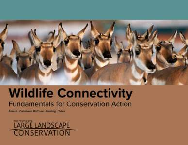 Wildlife Connectivity Fundamentals for Conservation Action Ament • Callahan • McClure • Reuling • Tabor About the Center for Large Landscape Conservation The Center for Large Landscape Conservation strategically
