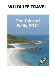 WILDLIFE TRAVEL The Isles of Scilly 2011 Isles of Scilly species lists and trip report, 18th to 25th May 2011