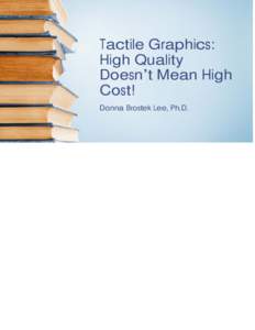 Tactile Graphics: High Quality Doesn’t Mean High Cost! Donna Brostek Lee, Ph.D.
