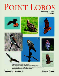 Ornithology / Lobos Island / Point Lobos / Carmel-by-the-Sea /  California / Bird nest / Carmel River State Beach / Gull / Lobos / Bird / Zoology / Geography of California / California