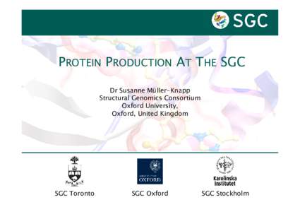 PROTEIN PRODUCTION AT THE SGC Dr Susanne Müller-Knapp Structural Genomics Consortium Oxford University, Oxford, United Kingdom