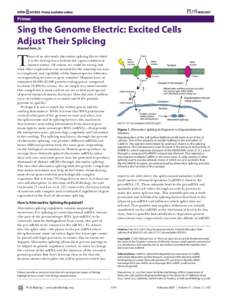Primer  Sing the Genome Electric: Excited Cells Adjust Their Splicing Manuel Ares, Jr.
