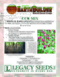 CCR MIX  EarthBuilder™ CCR Mixture consists of Dixie Crimson Clover and PileDriver™ cover crop radishes. This mix both produces and scavenges Nitrogen.  Benefits of the CCR Mix: