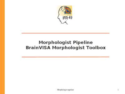 Morphologist Pipeline BrainVISA Morphologist Toolbox Morphologist pipeline  1