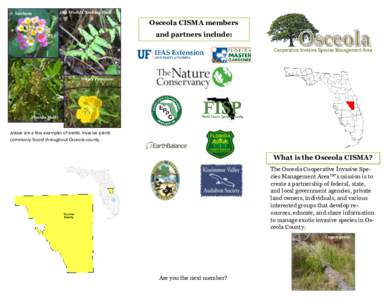 Lantana  Old World Climbing Fern Osceola CISMA members and partners include: