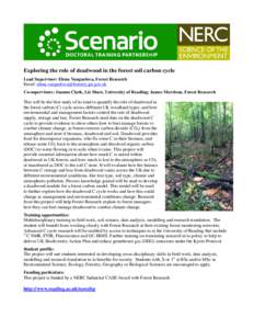 Exploring the role of deadwood in the forest soil carbon cycle Lead Supervisor: Elena Vanguelova, Forest Research Email:  Co-supervisors: Joanna Clark, Liz Shaw, University of Reading;