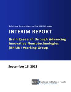 Brain Working Group Interim Report