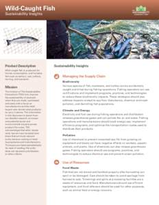 Wild-Caught Fish Sustainability Insights Product Description Wild-caught fish is produced for human consumption, and includes
