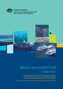 Species group report card – cetaceans Supporting the marine bioregional plan for the Temperate East Marine Region prepared under the Environment Protection and Biodiversity Conservation Act 1999