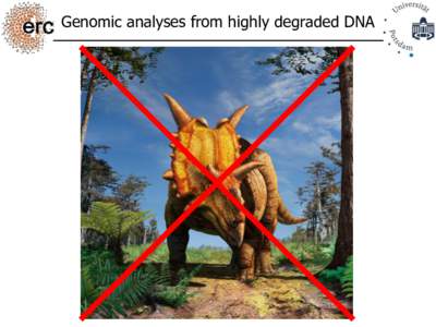Genomic analyses from highly degraded DNA  The ancient DNA revolution The ancient DNA revolution • Next generation sequencing
