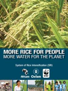 MORE RICE FOR PEOPLE MORE WATER FOR THE PLANET System of Rice Intensification (SRI) This publication is compiled with inputs from: Biksham Gujja, Global Freshwater Programme, WWF-International, Gland, Switzerland; V. Vi