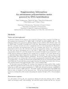 Supplementary Information: An autonomous polymerization motor powered by DNA hybridization 1 Suvir  Venkataraman, 1 Robert M. Dirks, 2,3 Paul W.K. Rothemund,