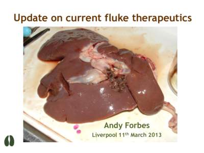 Update on current fluke therapeutics  Andy Forbes Liverpool 11th March 2013  Outline
