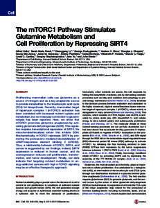 The mTORC1 Pathway Stimulates Glutamine Metabolism and Cell Proliferation by Repressing SIRT4 Alfred Csibi,1 Sarah-Maria Fendt,2,6 Chenggang Li,3,5 George Poulogiannis,4,5 Andrew Y. Choo,1 Douglas J. Chapski,1 Seung Min 