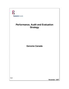 Performance, Audit and Evaluation Strategy