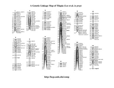 A Genetic Linkage Map of Tilapia (Lee et al. in prep[removed]