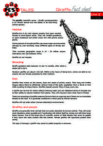 Giraffe  Fact sheet Unit 2 factsheet