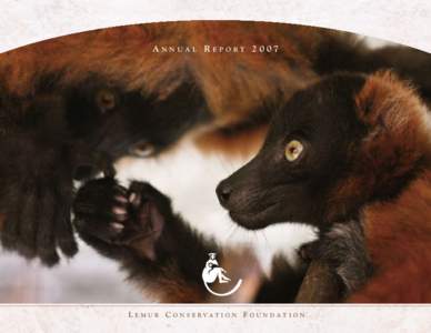 Lemurs / Fauna of Madagascar / Lemur / Ruffed lemur / Ring-tailed lemur / Alison Jolly / Black-and-white ruffed lemur / Red ruffed lemur / Mongoose lemur / Primate / Taxonomy of lemurs / Lemur Conservation Foundation
