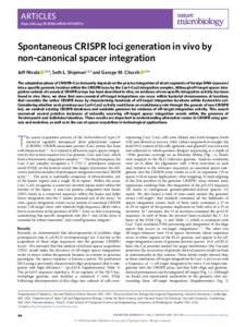 Articles https://doi.orgs41564z Spontaneous CRISPR loci generation in vivo by non-canonical spacer integration Jeff Nivala   1,2,4, Seth L. Shipman1,2,3 and George M. Church   1,2*