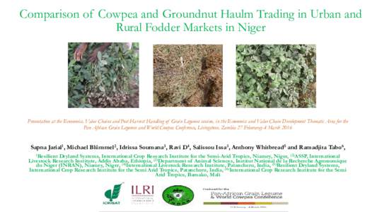Comparison of Cowpea and Groundnut Haulm Trading in Urban and Rural Fodder Markets in Niger
