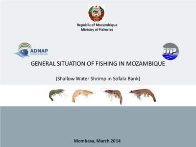 Republic of Mozambique Ministry of Fisheries GENERAL SITUATION OF FISHING IN MOZAMBIQUE (Shallow Water Shrimp in Sofala Bank)